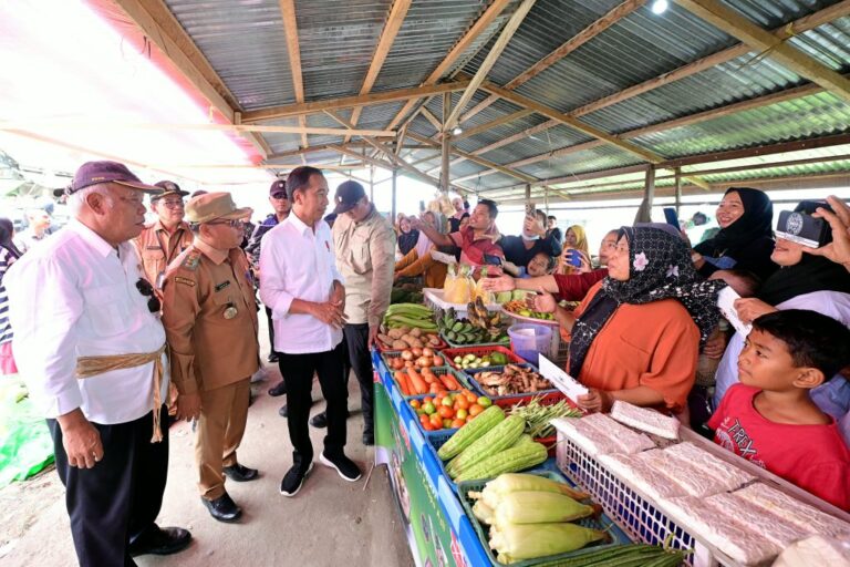 Presiden Jokowi saat melakukan kunjungan ke Pasar Sungai Ringin, Kabupaten Sekadau, Kalimantan Barat. KUR
