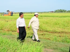 Presiden Prabowo Subianto didampingin Menteri Pertanian Andi Amran Sulaiman di Merauke Papua.