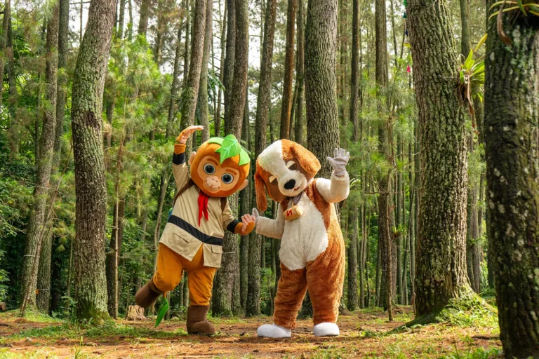 SRDA Stay & Forest