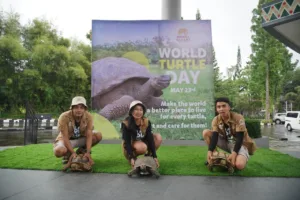 World Turtle Day di Safari Garden Hotel Mei 2025