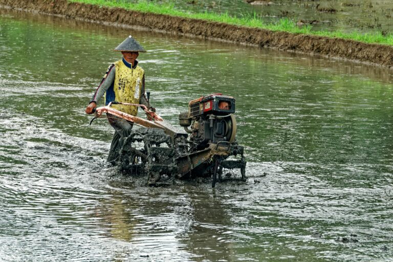 Traktor di Sawah