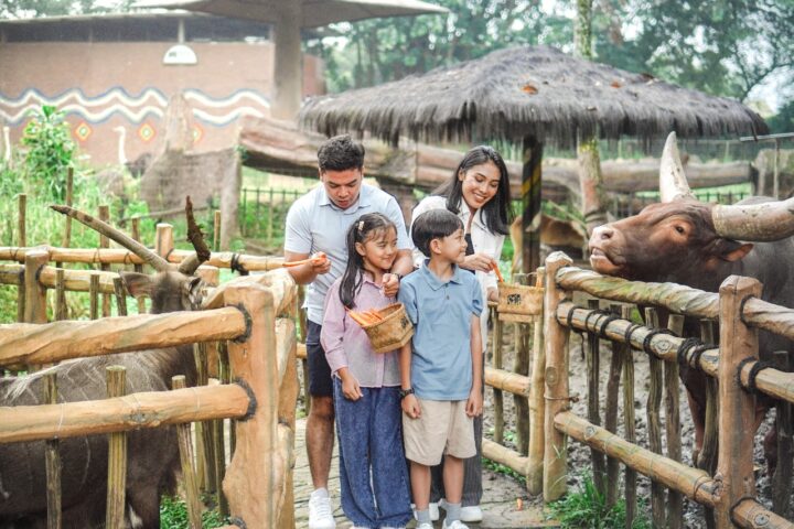 Royal Safari Garden