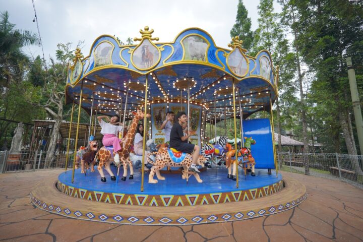 Royal Safari Garden