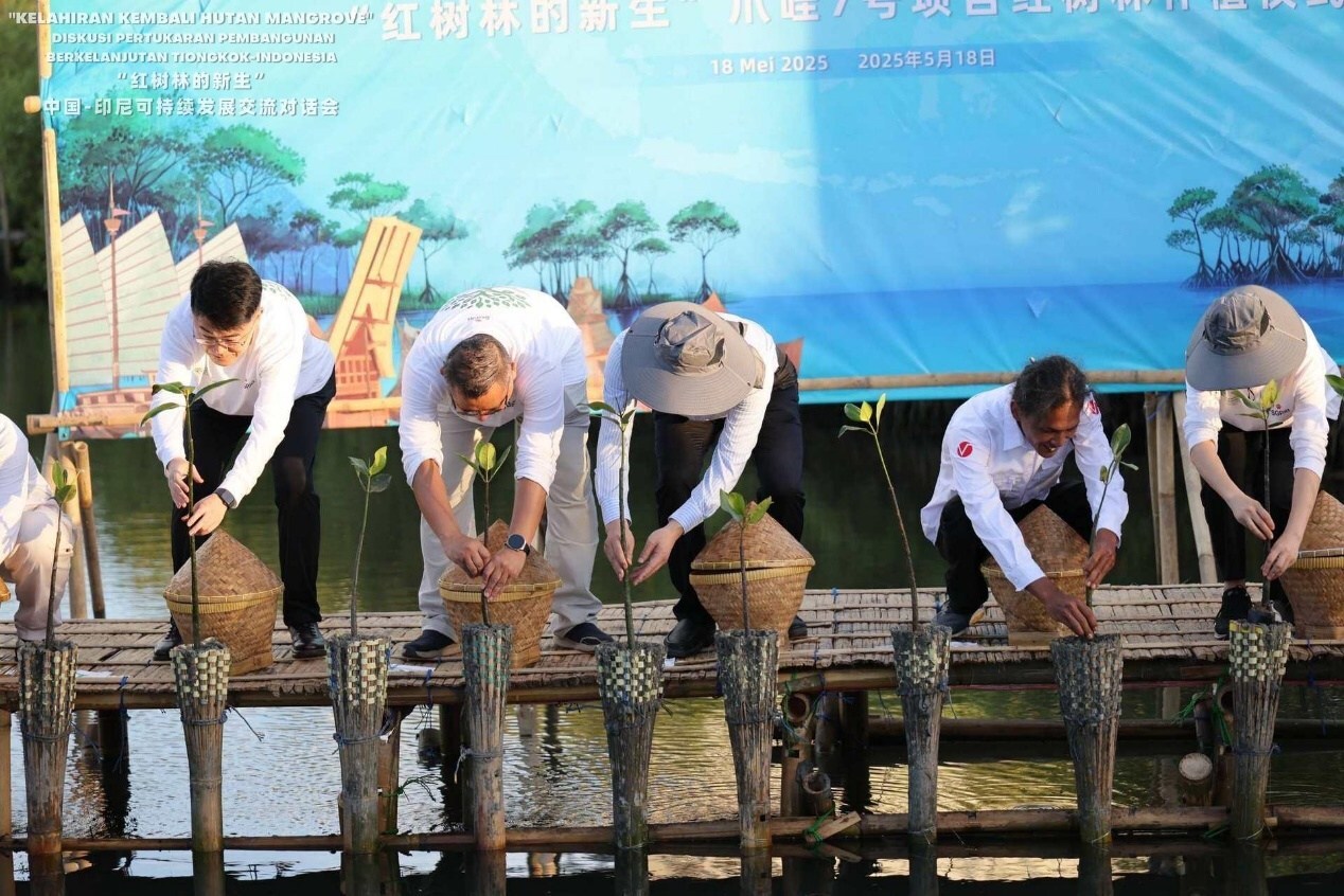 Guests-replanting-mangroves-Revitalization-Mangroves-event