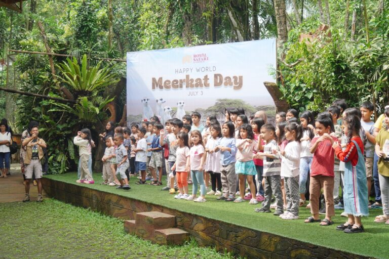 Meerkat Day Royal Safari Garden